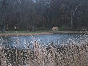 cricketfrogpond.jpg